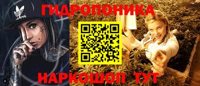 гашик Нарткала