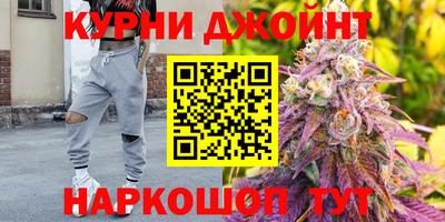гашик Нарткала